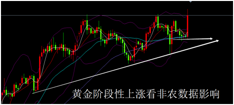 外汇期货股票比特币交易