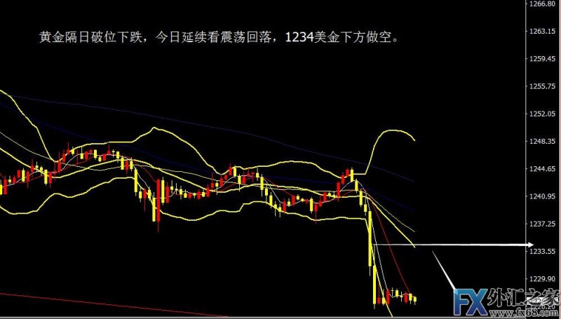 外汇期货股票比特币交易