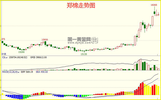 郑棉主力合约<a href=