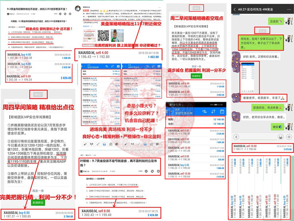 9.8-9.9第一周盈利图.jpg