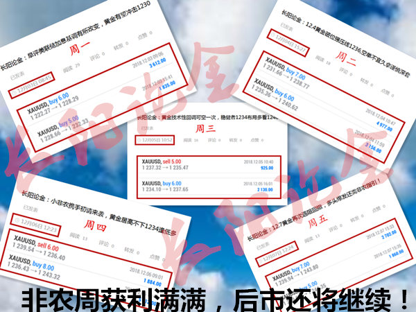 长阳12月第一周总结.png