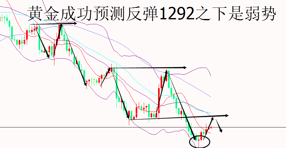 外汇EA期货股票比特币交易