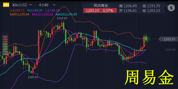 外汇期货股票比特币交易