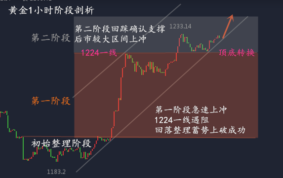 一小时剖析。无广告.png