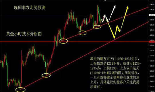 外汇期货股票比特币交易