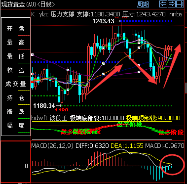 外汇期货股票比特币交易