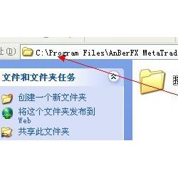 MT4本地跟单EA设置教程