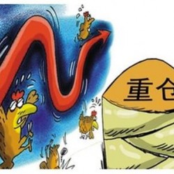 重仓多半会爆仓，那就应该轻仓吗？