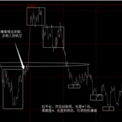 外汇交易中的趋势和投机心理