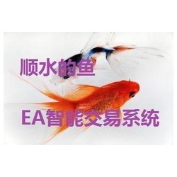 趋势EA 牛顿大数据 智能交易系统