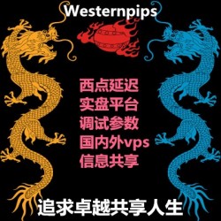 Westernpips西点外汇EA指标套利高频EA剥头皮延迟ea顺水的鱼ea