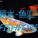 MT4指标