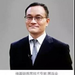 区块链项目团队模板？—维基链项目开发团队讨论