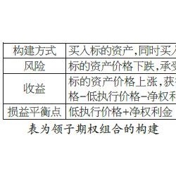 专家：运用领子期权控制风险