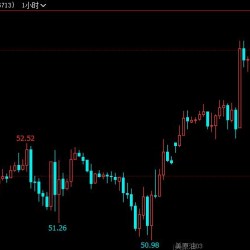 WTI原油涨幅扩大至近0.3％ 年内首次升破54美元关口