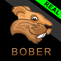 Bober Real EA ，mql5市场ea，外汇ea，智能交易系统