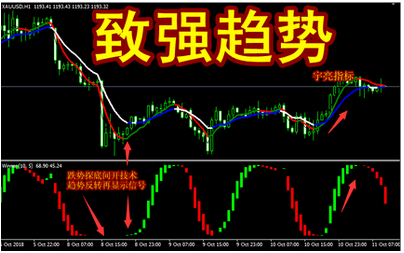 外汇ea/mt4交易/黄金培训系统视频教程学习培训进阶从入门到精通