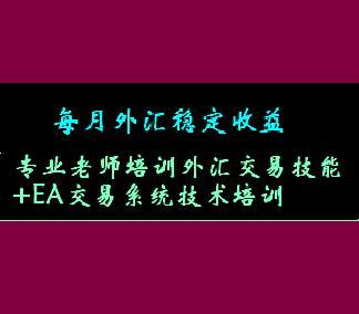 专业老师培训黄金+外汇交易技能及自动化EA交易系统技术