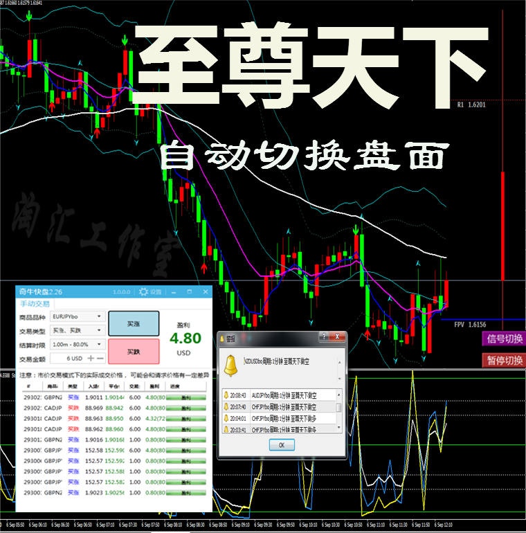 至/尊天下二元外汇MT4黄金白银指/标EA报警分析/软件交易系统喊单