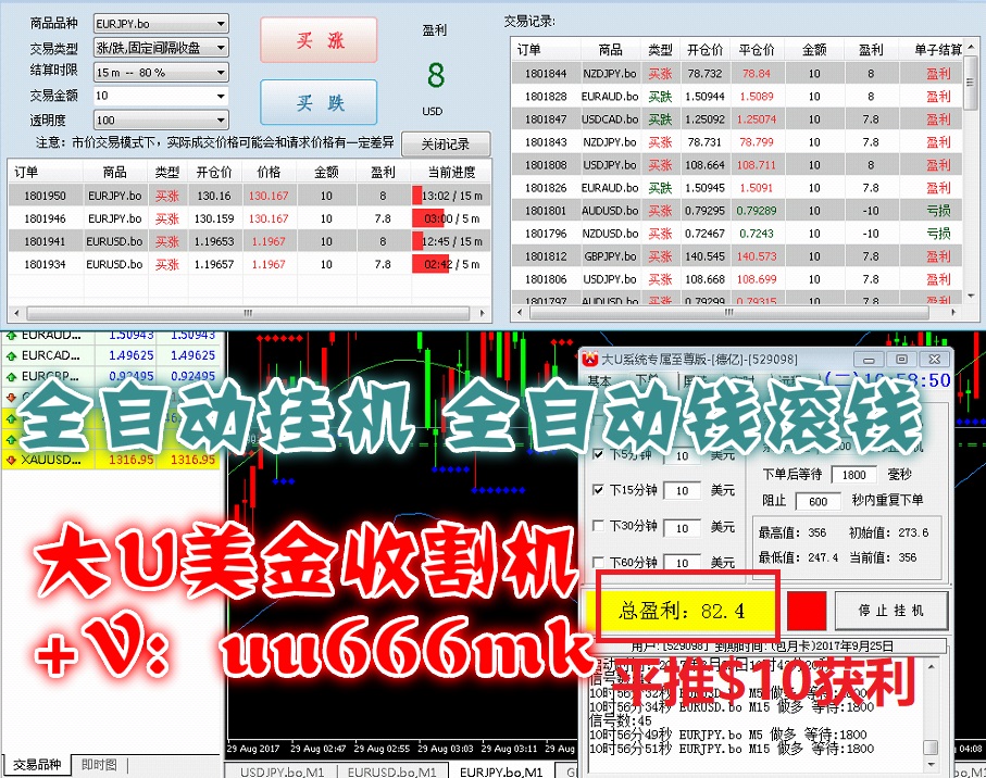 外汇短线自动交易-非外汇EA-大U自动挂机交易软件-二元试用